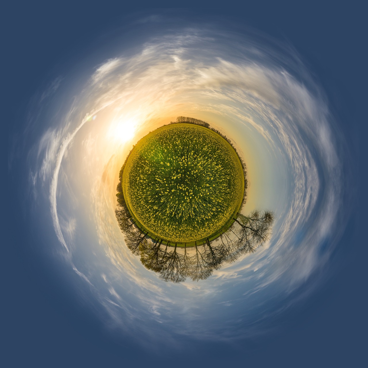 The Role of Eco-Friendly Products in Corporate Responsibility